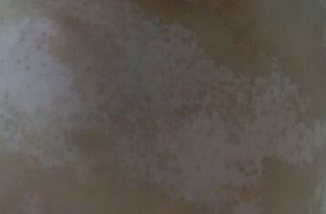 �人���ưװ��ĸ����ʻ���